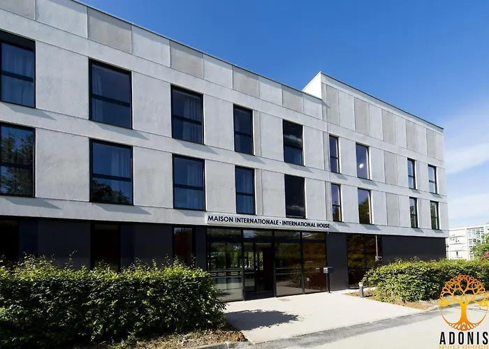 Adonis Single ディジョン