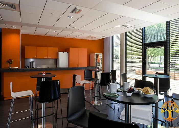 Adonis Single ディジョン